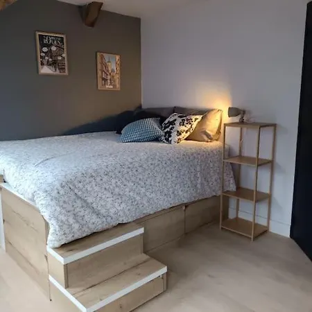 Triplex Hypercentre Avec Parking Apartmán