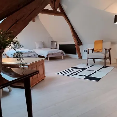 Apartamento Triplex Hypercentre Avec Parking Ruan