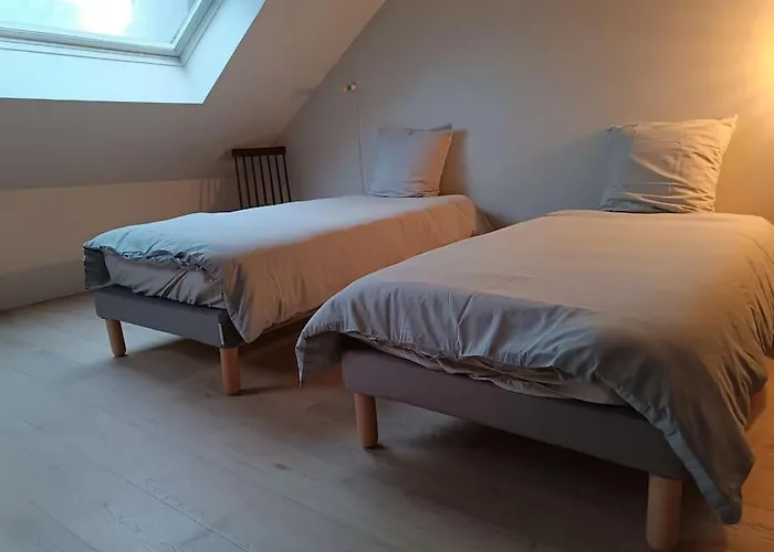 Triplex Hypercentre Avec Parking Apartment *